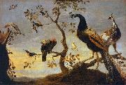 Frans Snyders Group of Birds Perched on Branches Spain oil painting artist
